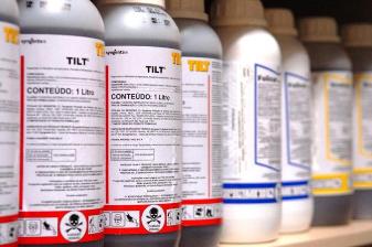 noticia-brasil-e-lider