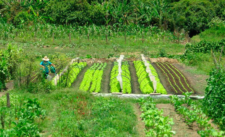 noticia-cerca-foto-dirlei-dionisio