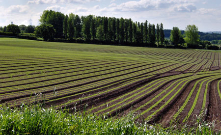 noticia-danos-meio-ambiente