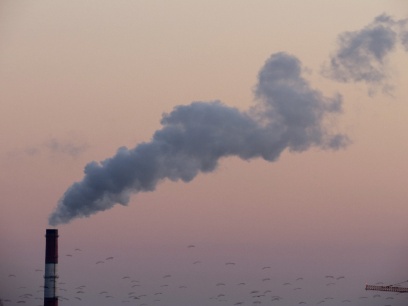 noticia-estado-portugues.torange.biz