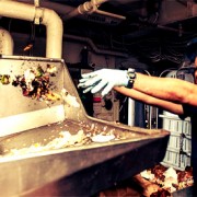 noticia-deserdicio-alimento