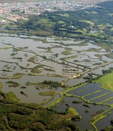 noticia-agencia-parana-2