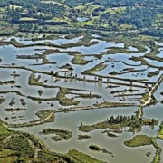 noticia-conservacao-rios