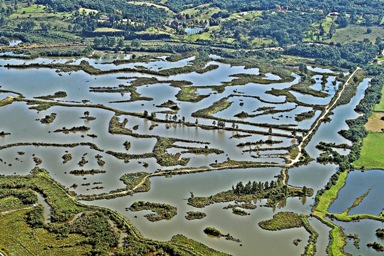 noticia-conservacao-rios