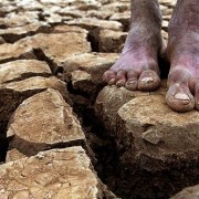 noticia-mudancas-climaticas