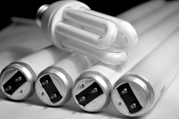 fonte diario do nordeste