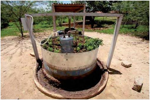 Foto biodigestor implantado