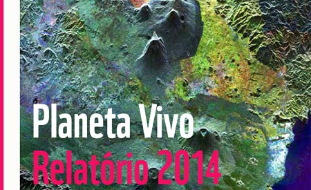 noticia-populacao-de-animais-reduzidas