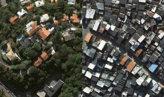 quantidade-de-arvores