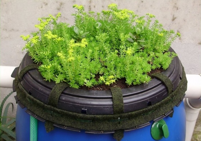 noticia-cisterna-site sempre sustentavel