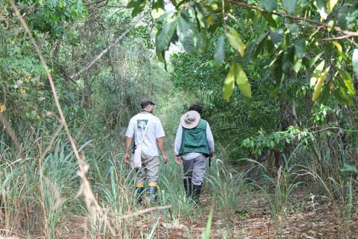 noticia-monitoramento-de-fauna-2