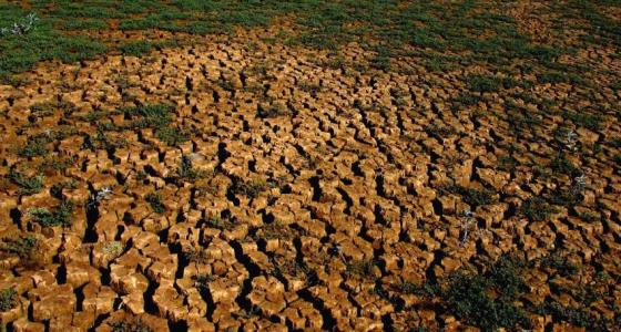 noticia-mundo-ainda-nao-acordou