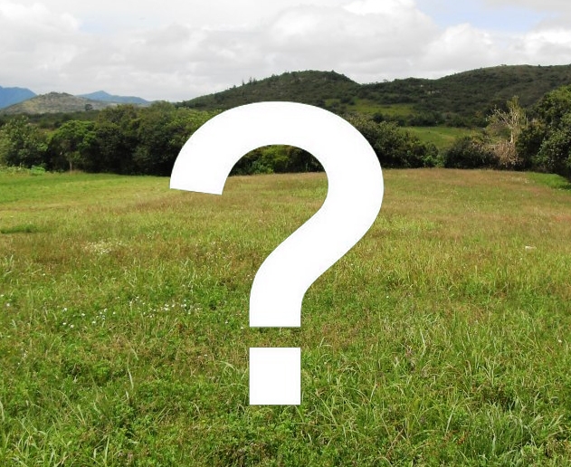 noticia-terreno-com-problemas-ambientais