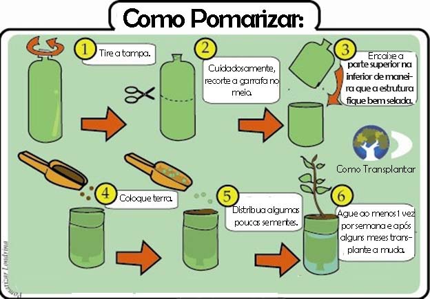 noticia-como-pomarizar-fluxograma