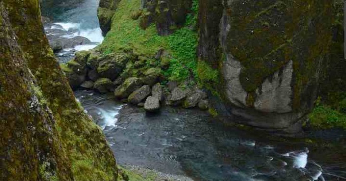 noticia-nature-is-speaking