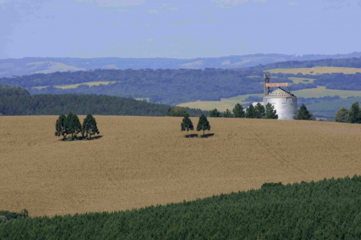 noticia-cadastro-ambiental-rural