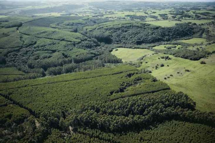 car-cadastro-ambiental-rural-site
