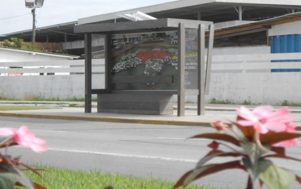 noticia-ponto-ecologico