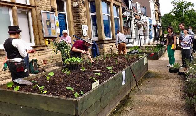 noticia-plantio-comunitario-2