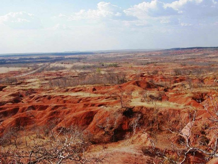 noticia-desertificacao-degradacao-do-solo-2