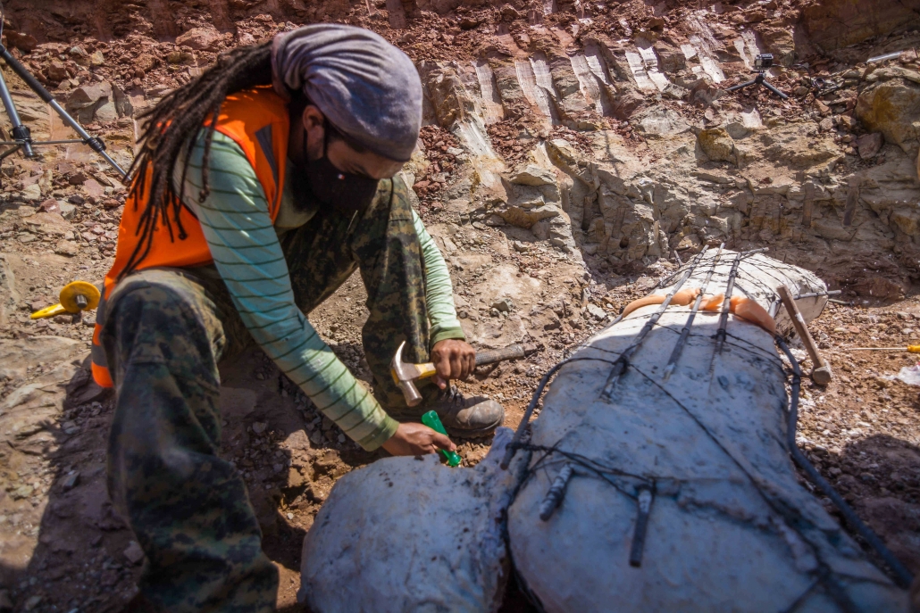Fóssil de dinossauro em Davinópolis, Maranhão