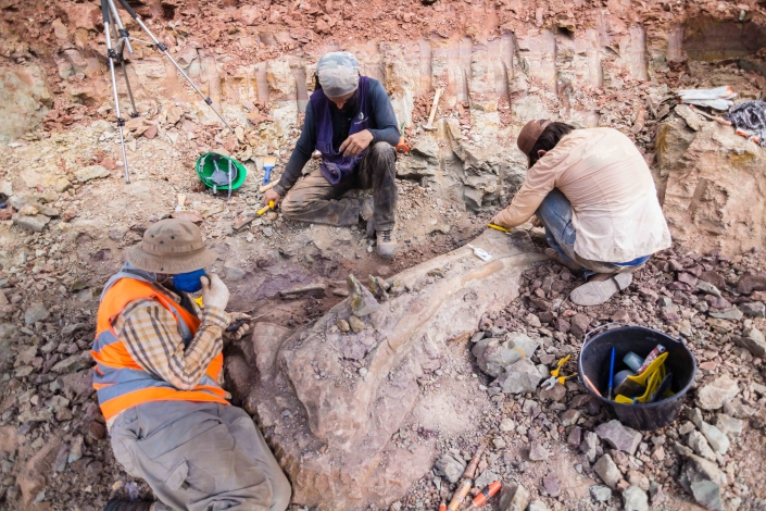 Achado de dinossauro em Davinópolis