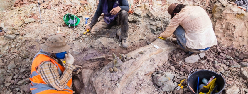 Achado de dinossauro em Davinópolis