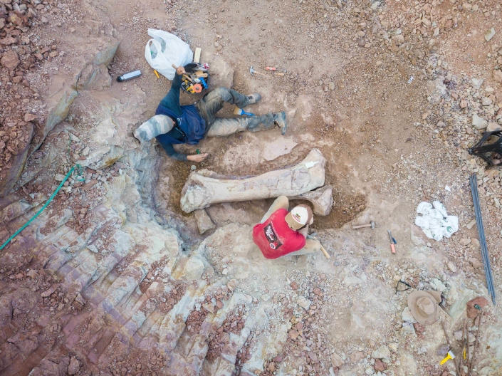 descoberta de fóssil de dinossauro em obra de terminal ferroviário é destaque de hoje na Folha de São Paulo