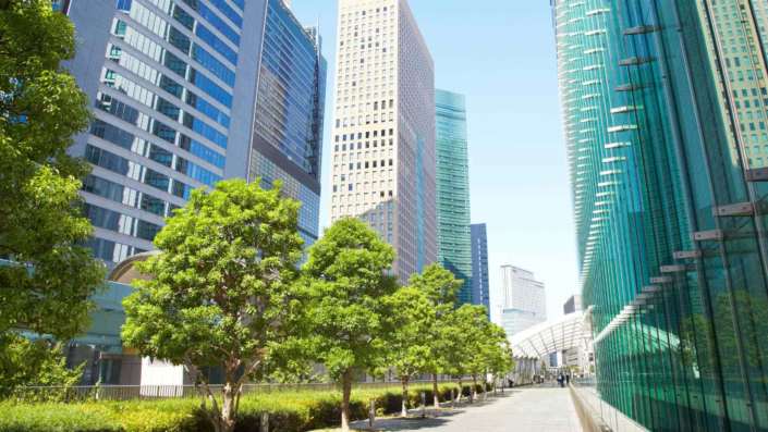 Como elaborar o Estudo de Impacto de Vizinhança