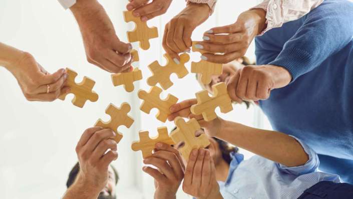 Diversidade de especialistas em Consultoria Ambiental