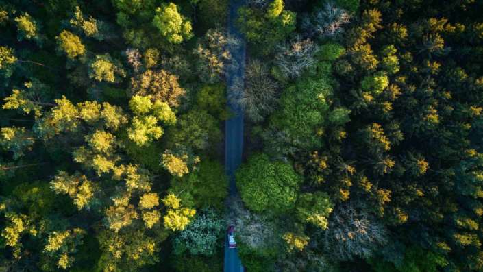 Quem precisa de licença ambiental?