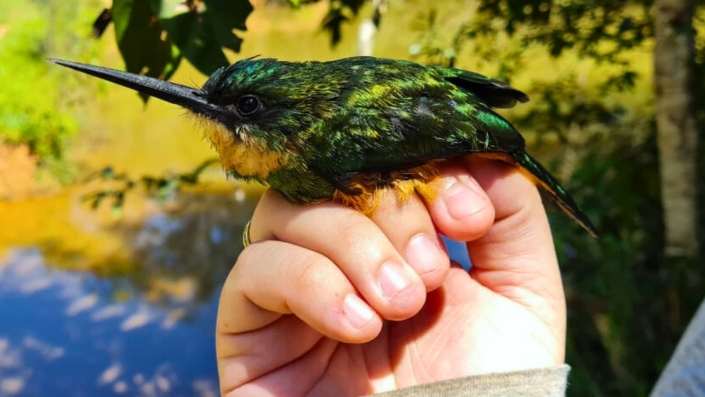 Especialistas em Fauna e Flora