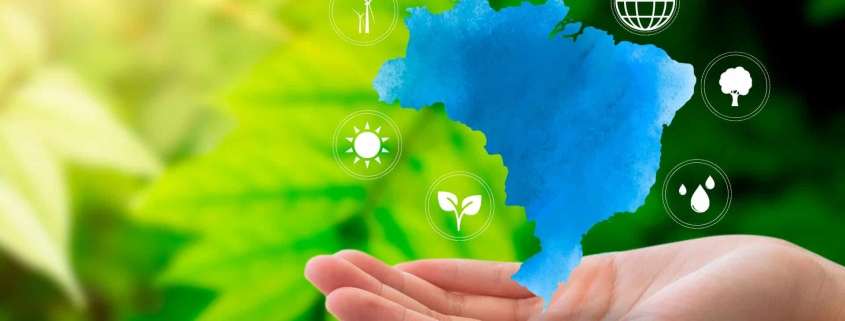 Como adaptar boas práticas ambientais para diferentes estados do Brasil e ganhar eficiência com o contrato guarda-chuva