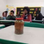 Educação ambiental fortalece laços entre escola e comunidade em Alvinópolis, MG