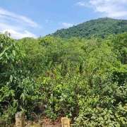 Supressão de vegetação nativa no Paraná: o que muda para o seu negócio com a IN 48/2025