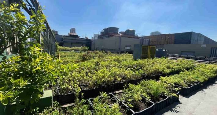Shopping Eldorado transforma resíduos em alimento: sustentabilidade na prática com apoio da Master Ambiental