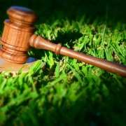 Lei nº 15.190/2025: o que muda no licenciamento ambiental e como sua empresa deve se preparar