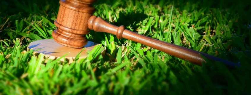 Lei nº 15.190/2025: o que muda no licenciamento ambiental e como sua empresa deve se preparar